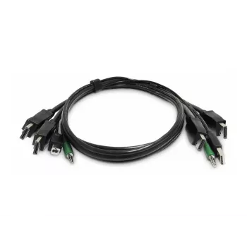 StarTech.com 2-Port DVI-I USB KVM Switch su garso palaikymu - TAA atitikmuo