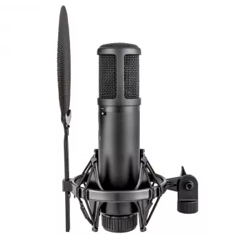 sE Electronics sE2200 Black Studio Condenser Microphone