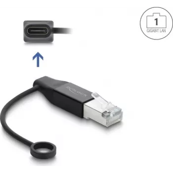 Delock USB Type-C tinklo adapteris Gigabit LAN 1 x RJ45 kištukas