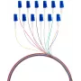 EFB FTTH Pigtail LC OS2 G.657.A2 12 spalvų rinkinys, 2 m, vienmodis 9/125 µm, atsparus lenkimui, 12 pluoštų