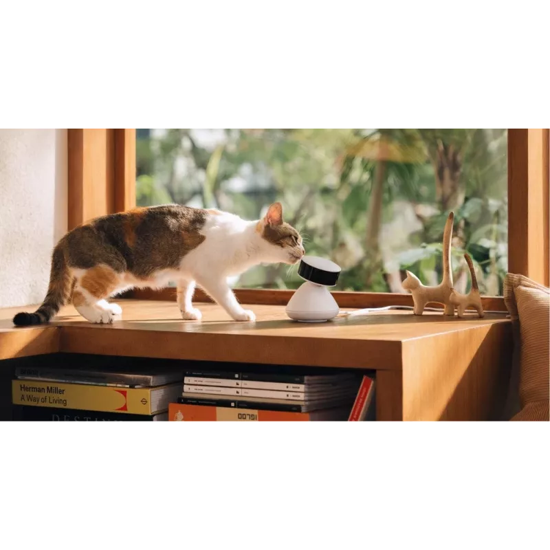 PETLIBRO Scout išmanioji AI augintinių kamera 1080p Full HD su dvipusiu garsu, naktiniu matymu, judesio ir garso aptikimu, 130° plačiu kampu, Wi-Fi, MicroSD/Cloud atmintimi, balta