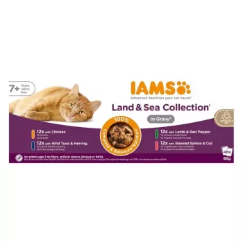 IAMS Delights Senior Land & Sea rinkinys su padažu 12x85g