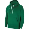 Nike Park 20 gobtuvas Pine Green CW6957 302 vyriškas vilnos megztinis