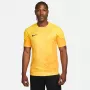 Nike Dri-FIT ADV Gardien IV vyrų vartininko marškinėliai Opti Yellow/Black M