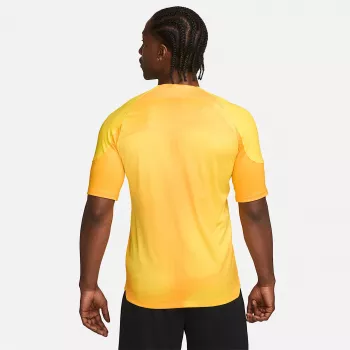 Nike Dri-FIT ADV Gardien IV vyrų vartininko marškinėliai Opti Yellow/Black M