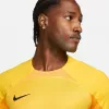 Nike Dri-FIT ADV Gardien IV vyrų vartininko marškinėliai Opti Yellow/Black M