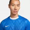Nike vyriški Dri-FIT Challenge V marškinėliai trumpomis rankovėmis mėlyni FD7412-463 dydis S