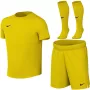 Nike Dri-FIT Park VIII vaikų futbolo rinkinys geltonas HV8260 719 XL