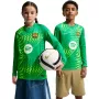 Nike FC Barcelona Stadium vartininko vaikiški futbolo marškinėliai 2026/27 žali II3610 324 XL