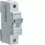 Hager MBN132E 32A vienpolis 6kA B kreivės mini grandinės pertraukiklis