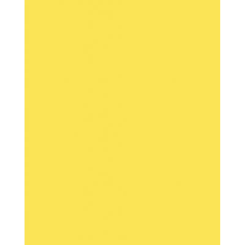 Folia 614/50 12 geltonas A4 kartonas 300 g/m², 50 lapų