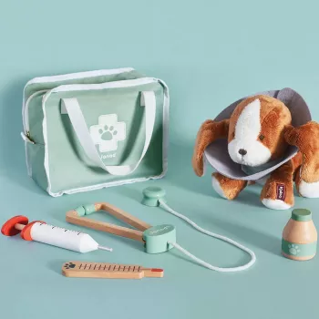 Janod Veterinarijos rinkinys - 10 dalių vaidybinis rinkinys su mediniais instrumentais ir audinio dėklu