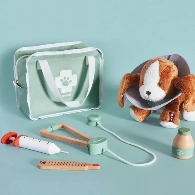Janod Veterinarijos rinkinys - 10 dalių vaidybinis rinkinys su mediniais instrumentais ir audinio dėklu