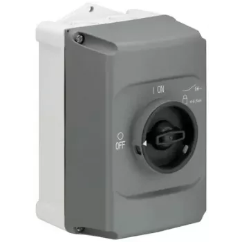ABB STOTZ-KONTAKT izoliuojantis gaubtas IB132-G, 2 moduliai, paviršinis montavimas, IP30, baltas (1SAM201911R1010)