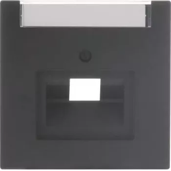 Busch-Jaeger future® linear 1 jungties centrinis dangtelis UAE/IAE su žymėjimo lauku, Studio White