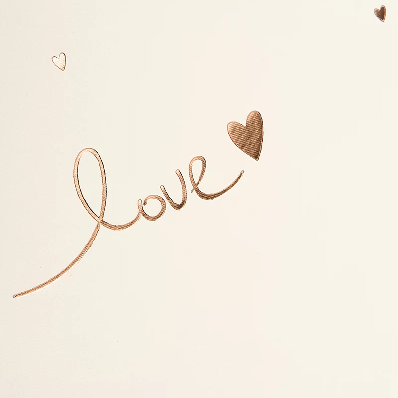 Goldbuch Raining Hearts smėlio spalvos fotoalbumas, 60 baltų puslapių, kieti viršeliai, PU viršelis, 31x30 cm