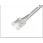 SYNERGY21 S21-LED-003F240177 COB LED juostos jungtis su laidu, 10 mm, IP20, 2 kontaktų, 12V/24V, balta