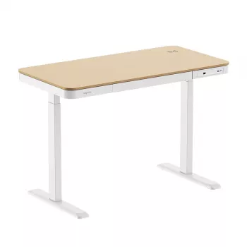 LogiLink reguliuojamo aukščio stalas su vienu varikliu, 118x60 cm, su belaidžiu įkrovimu, baltas