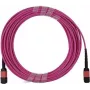 BlueOptics MPO/UPC į MPO/UPC OM4 daugiamodis magistralinis kabelis, 12 gyslų, B tipo poliškumas, 5 m, LSZH, suderinamas su Infortrend