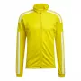 adidas Squadra 21 treniruočių megztinis GP6465 S geltonas vyriškas