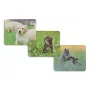 Hama Animal 4 prievadų USB 2.0 šakotuvas su USB-C jungtimi, rudas/balta šuns dizainas