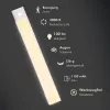 LogiLink LED Under Cabinet Light su PIR jutikliu, 300 mm, 100 lm, sidabrinis