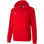 PUMA teamGOAL 23 laisvalaikio gobtuvas raudonas