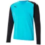 Puma teamPACER GK LS vyrų vartininko megztinis mėlynai-juodas XL