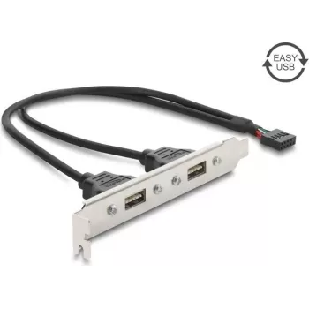 Delock USB 2.0 lizdo laikiklis su 2 x EASY USB Type-A prievadais