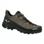 Salewa Alp Trainer 2 GTX vyriški žygio batai Bungee Cord/Black UK 7.5 (EU 41)