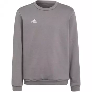 adidas Entrada 22 Sweat Top vaikiškas pilkas megztinis H57477 (116 cm)