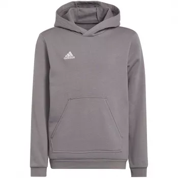 adidas Entrada 22 Hoody vaikų megztinis pilkas 116 cm