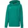 PUMA teamGOAL 23 Casuals Hoody Jr vaikiškas megztinis su gobtuvu Forest Green 128