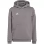 adidas Entrada 22 gobtuvas Medium Grey Heather vaikams 128 cm