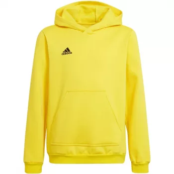 adidas Entrada 22 gobtuvas Team Yellow jaunimo dydis 116