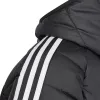 adidas Tiro 24 Winter vaikiška striukė juoda IP6670 128cm