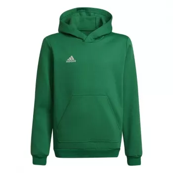 adidas Entrada 22 Hoody vaikiškas megztinis su gobtuvu, žalias, 116cm