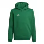 adidas Entrada 22 Hoody vaikiškas megztinis su gobtuvu, žalias, 116cm