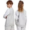 adidas Squadra 25 Sweat Crew vaikiškas megztinis pilkas JD4824 152 cm