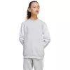 adidas Squadra 25 Sweat Crew vaikiškas megztinis pilkas JD4824 152 cm
