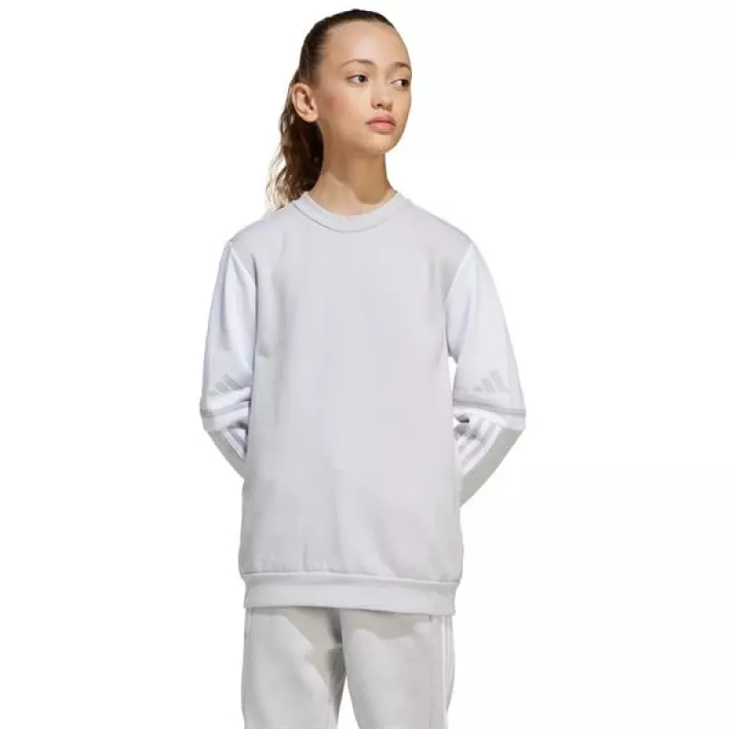 adidas Squadra 25 Sweat Crew vaikiškas megztinis pilkas JD4824 152 cm