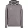adidas Entrada 22 Hoody vaikiškas megztinis su gobtuvu pilkas 152 cm