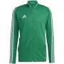 adidas Tiro 23 League treniruočių viršus vyrams, žalias, XL
