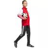 adidas Squadra 25 vaikų treniruočių marškinėliai raudoni JD4797 152cm