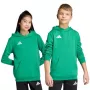 adidas Entrada 26 Hoody Kids Green 140 cm