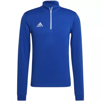 adidas Entrada 22 treniruočių viršutinė dalis vyrams Team Royal Blue/White megztinis M