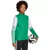 adidas Squadra 25 vaikų treniruočių marškinėliai Žalia/Balta JP3160 164cm