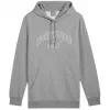 PUMA Essentials+ Logo LAB Gradient gobtuvas FL pilkas vyriškas vilnos megztinis, dydis L