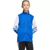 adidas Squadra 25 Training vaikiškas megztinis mėlynas/baltas JD4798 116cm