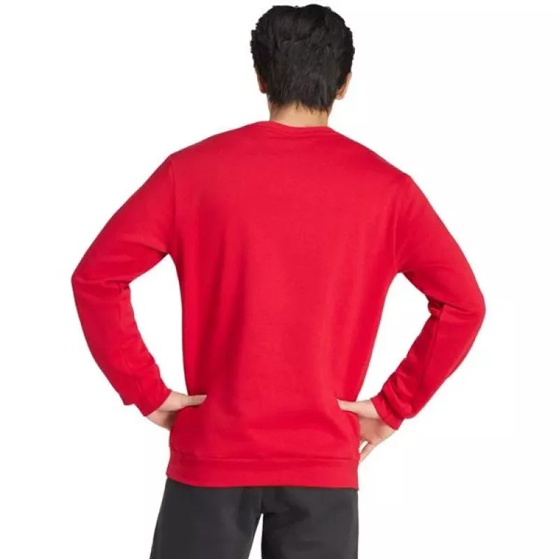 adidas vyriškas Entrada 26 prakaitui atsparus megztinis, raudonas, M dydis